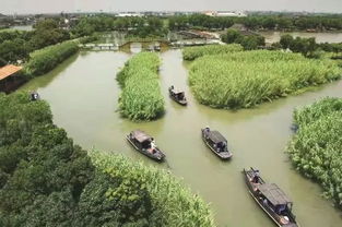 烽火蘆蕩，青春定向 2019首屆華僑城杯沙家浜紅色定向賽邀您啟程